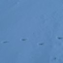 태평농장 이미지