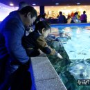 행복수족관 이미지