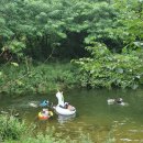 계곡식당 이미지