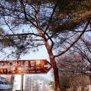 사세충열문공원 이미지