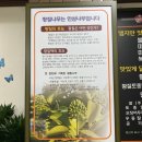 황칠토종족발 이미지
