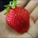 갑이농장 이미지