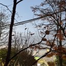 순복음교회 개방화장실 이미지