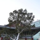 불경 4대 역경가의 구법의 길 이미지