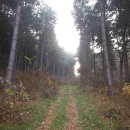 무지랭이 약수터 이미지