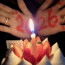 피오니케이크 | 남편 생일 축하해! 🎂 은은한 단맛이 매력적인 ‘피오니 딸기 케이크’ 후기