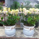 대양물류 이미지