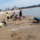 왕산해수욕장 이미지