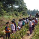 서원초등학교 이미지