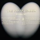 참조은기획 | 그라운드시소 이스트 | 내돈내산 | 이기훈 원화전: 내일의 낙원, 관람 후기