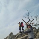 11월3일(월) [가을암자1편]남산제일봉&amp;해인사13암자 이미지