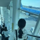 G MART | 괌 여행기 + 리가 로열 호텔 비추천 후기