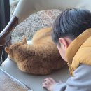 돌미로 | [충주 가볼만한 곳] 아이와 실패 없는 당일치기 코스/ 동굴 카누부터 대형 숲 놀이터까지