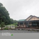 쑥스러운염소 이미지