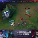 서포터
