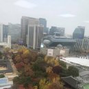 행정사법인해사인 네이버블로그