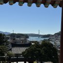 장군마을5길 | 📍여수 가볼만한 곳 총정리 : 향일암·진남관·카페·맛집 여수여행 코스