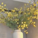 인덕상회 이미지