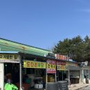 민영이네 | 당진 장고항 실치축제 - 민영이네 횟집 내돈내산