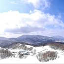 안반데기 목장 이미지