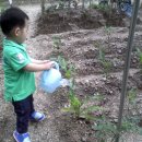 은찬농장 이미지