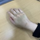 (주)앤드예스 네이버블로그