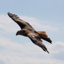 하남사랑공인중개사사무소 이미지