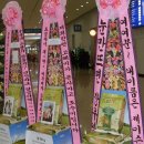 우영수지 이미지