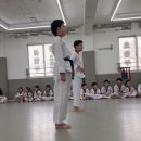 위올태권도 이미지