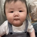이다원차문화센터 | 7개월 아기 오감올리 문화센터 봄학기 5-7주차 후기