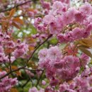 보석상자 이미지