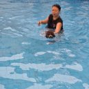 로만티카 | 🐶[ 내돈내산 ] 강화도 로만티카 애견펜션 솔직 후기