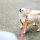 산책 - 안양시 만안구 | 산책