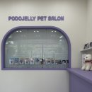 포도젤리 펫살롱 이미지