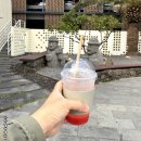 제주공항 주차장 카페 엔제리너스 제주 여행 특별한 선물 땅콩 마들렌