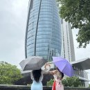 성포동성당앞보도 | D.1-2 다낭 자유여행 맛집, 핑크성당, 한시장, 랍스타, 미케스파 마사지, 미케비치 후기