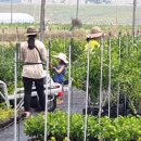 아리농장 이미지