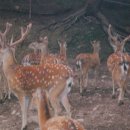 진주 농장 이미지