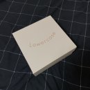 로워케이스