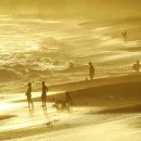 사람과바다 이미지