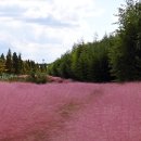 낙동강변16 이미지