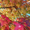 글로리펜션 | 글로리펜션 산악회 단체 숙소로 다녀온 후기