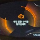 AUTO LINE 오토라인 | 19년식 푸조 3008 GT Line 요소수 리콜, 엔진결함 경고등 때문에 결국 무상교체 받은 후기