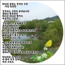 강가의 추억 이미지