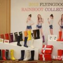 플라잉독 이미지