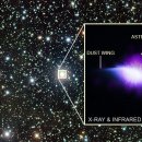 Seed of Li 이미지