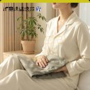 대신의료기 | [내돈내산] 40대 아재의 생존템, 한일의료기 프리볼트 온열 찜질기 찐 사용 후기