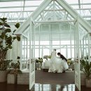 스카이팜 이미지