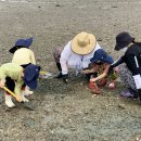 백미리 어촌체험마을 티스토리
