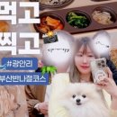 광안해변로L 이미지